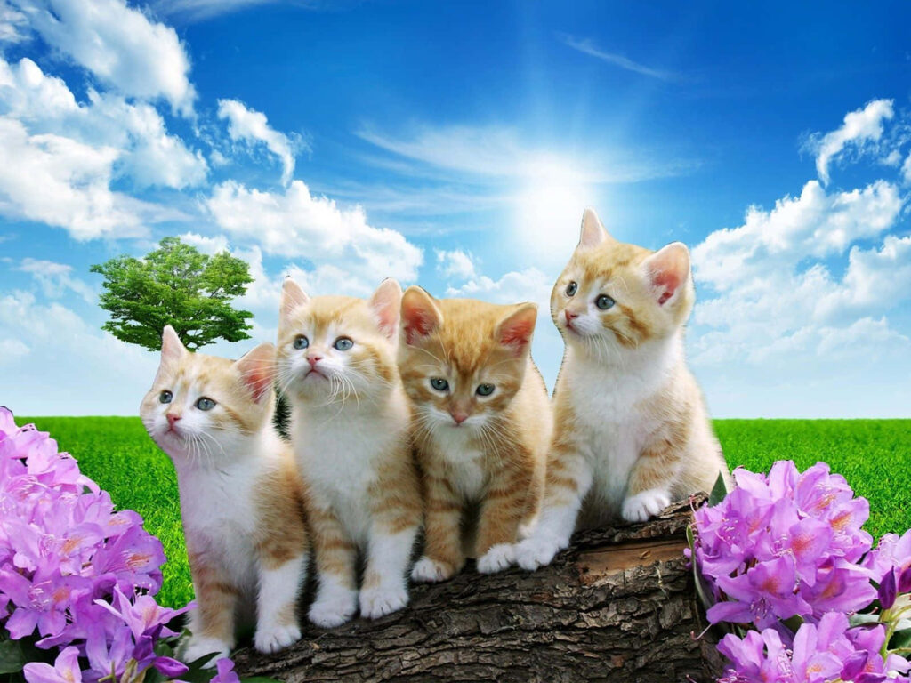 Adorable Ginger Kittens on a Log Amidst Vibrant Flowers & Blue Sky Wallpaper