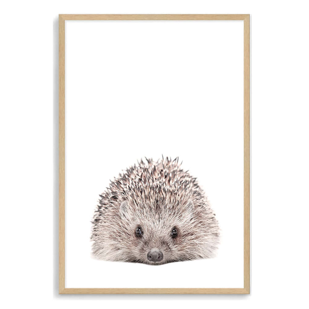 Charming Hedgehog Wallpaper in Minimalist Light Brown Frame