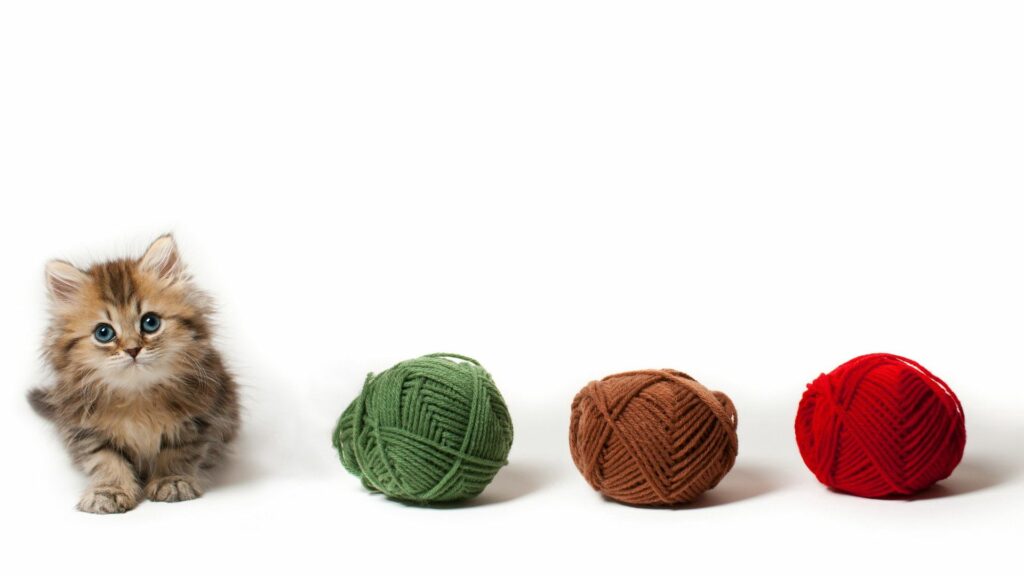 Adorable Fluffy Kitten with Colorful Yarn Balls - Cozy Wallpaper Background