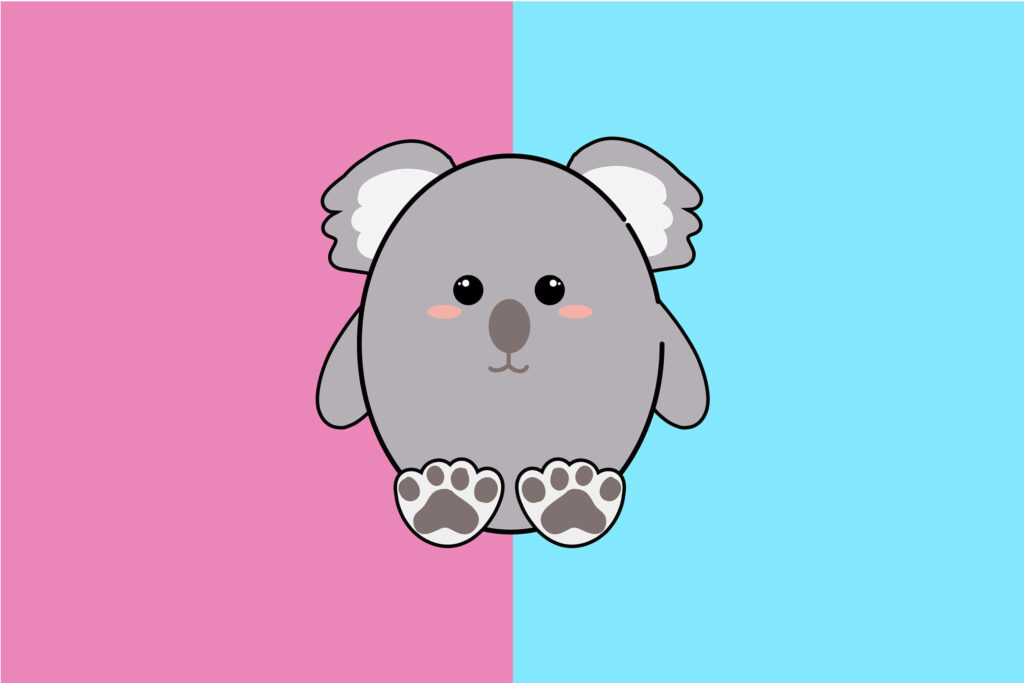 Playful Koala Wallpaper: Cute Cartoon Design on Pink & Blue Background