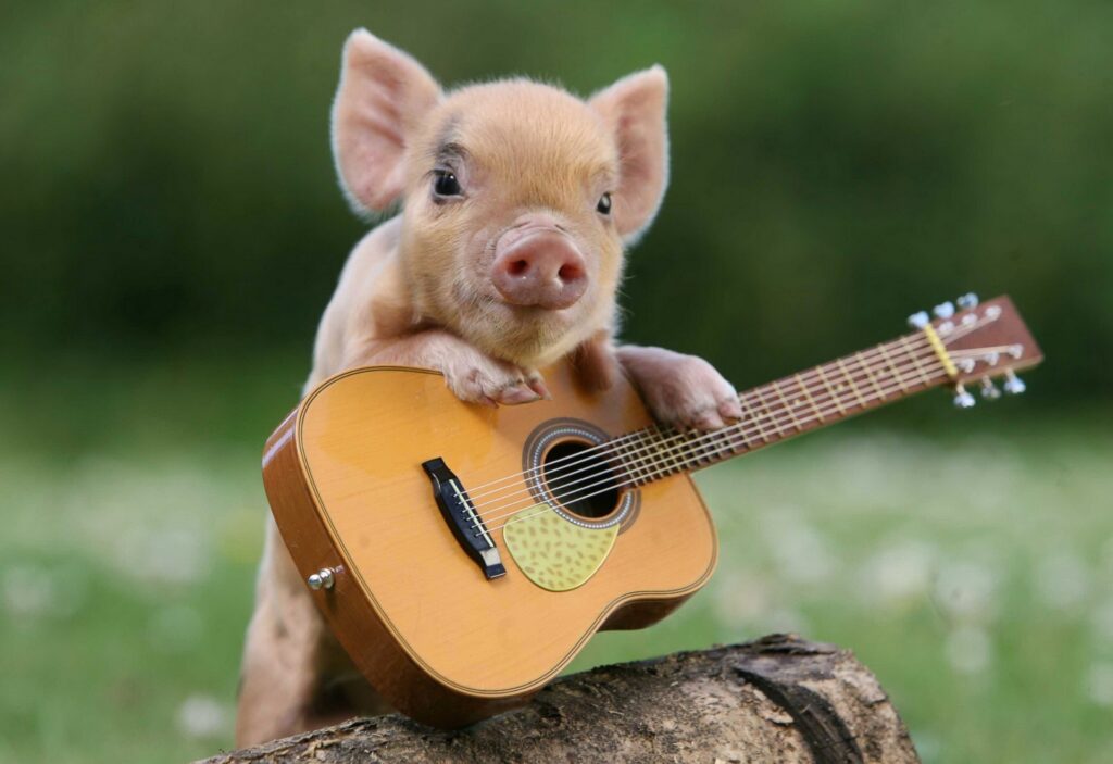 Cute Pig Playing Guitar on Log: Whimsical Greenery Wallpaper