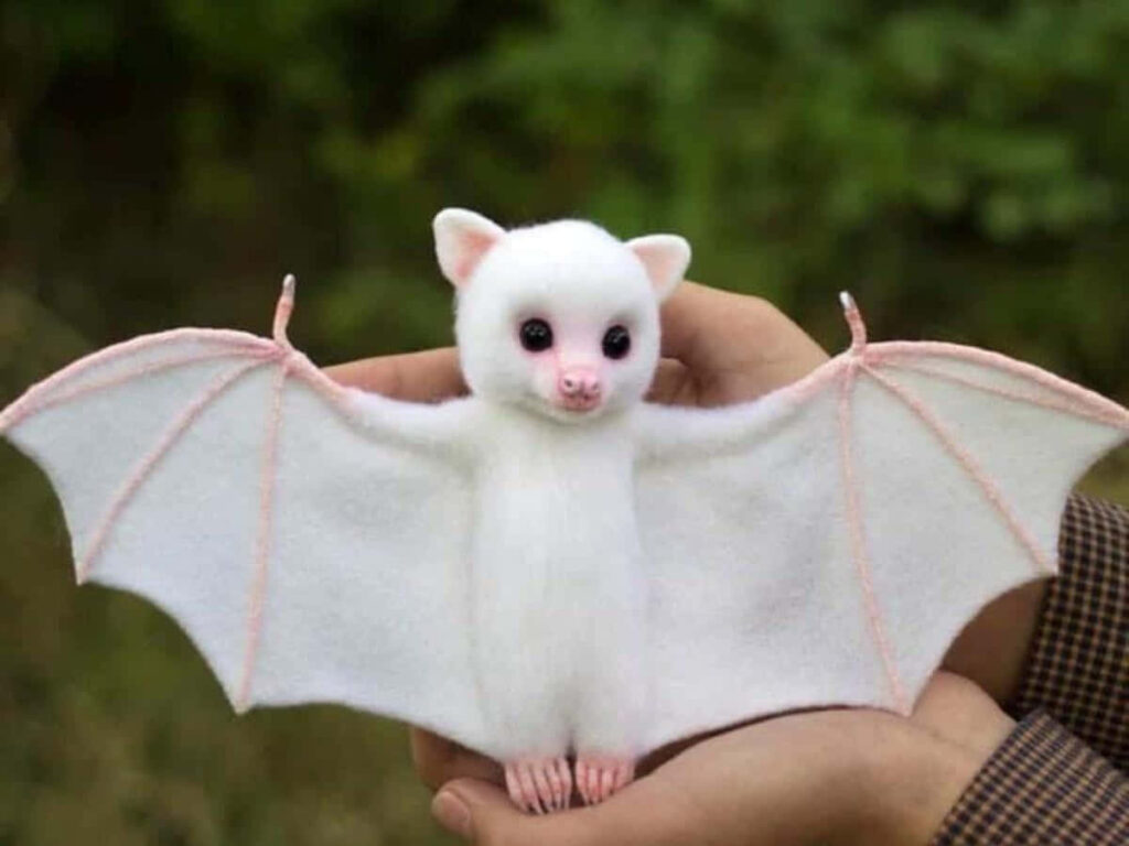 Adorable Plush Bat with White Fur Against Lush Green Background Wallpaper