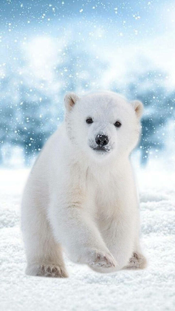 Adorable Polar Bear Cub in Serene Snowy Landscape Wallpaper