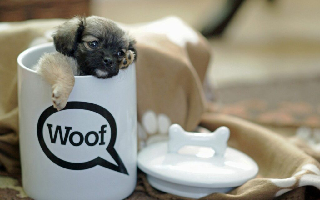 Adorable Puppy Peeking from Cup | Heartwarming Wallpaper Background