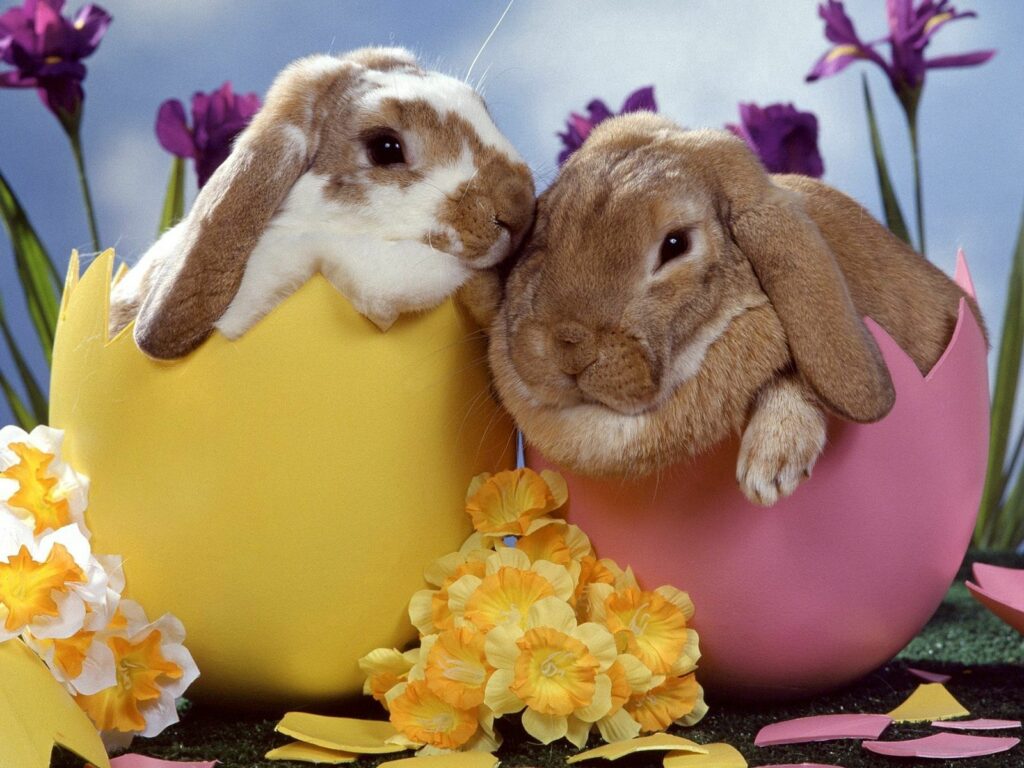 Charming Easter Wallpaper: Adorable Rabbits in Colorful Egg Shells