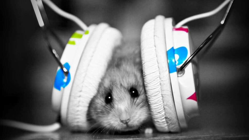 Charming Rat Enjoys Music Among Colorful Headphones - Playful Wallpaper
