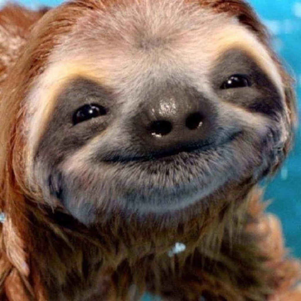 Adorable Smiling Sloth Wallpaper: Pure Joy & Humor Background