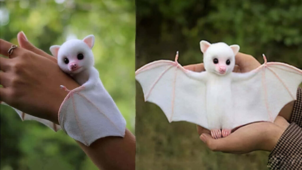 Whimsical White Bat Wallpaper: Playful & Charming Nature Background