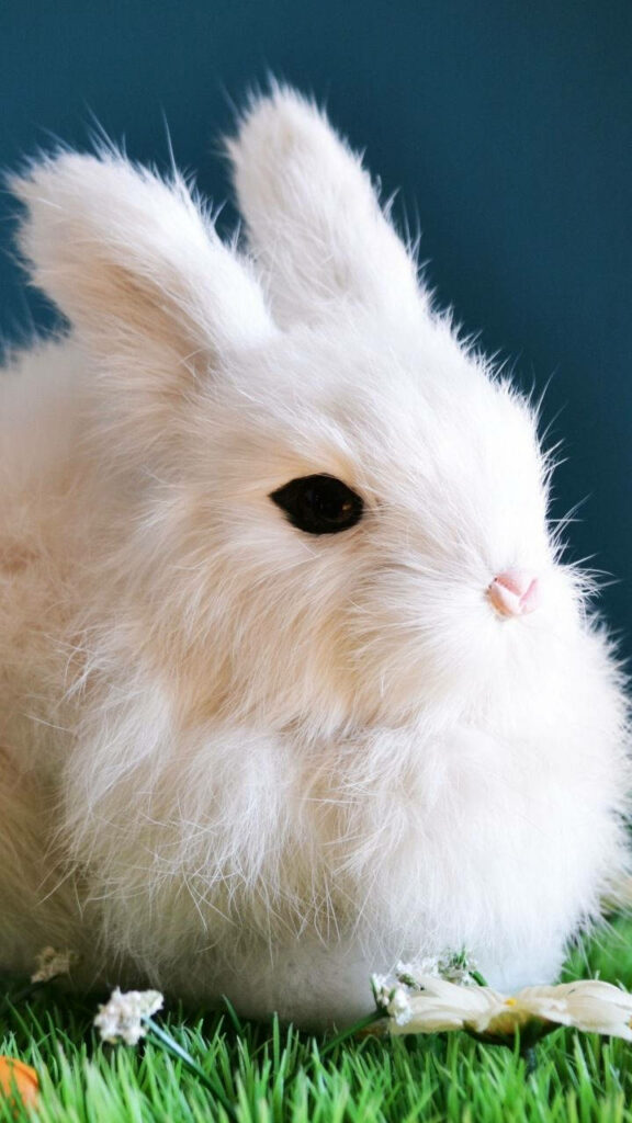 Adorable White Rabbit Doll on Green Grass: Cute Wallpaper Background