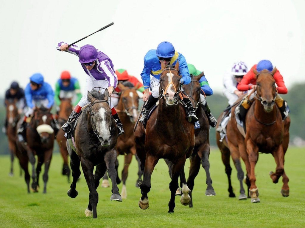 Jockeys race powerful thoroughbreds on lush green turf in intense professional horse racing action Wallpaper