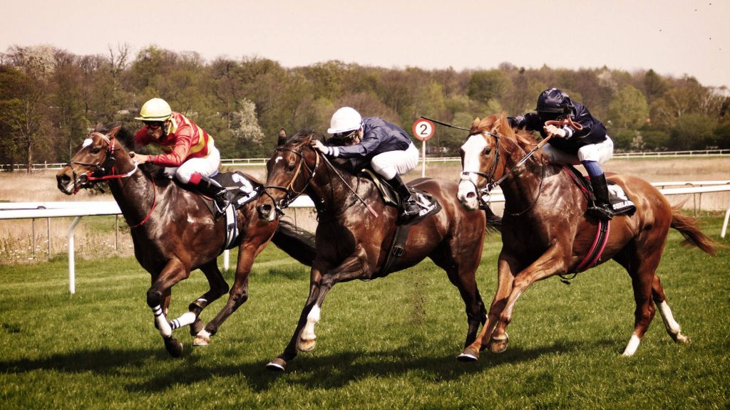 Three jockeys racing thoroughbreds at full speed on lush green track vibrant horse racing wallpaper