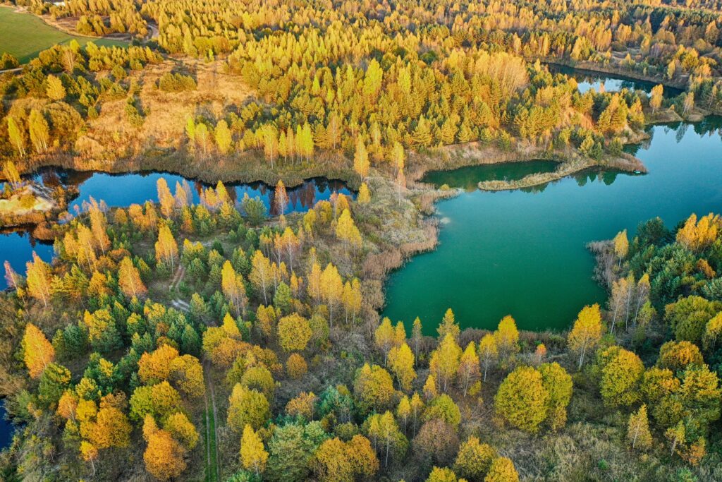 Aerial view of serene autumn forest and tranquil lake with golden foliage and green evergreens Wallpaper