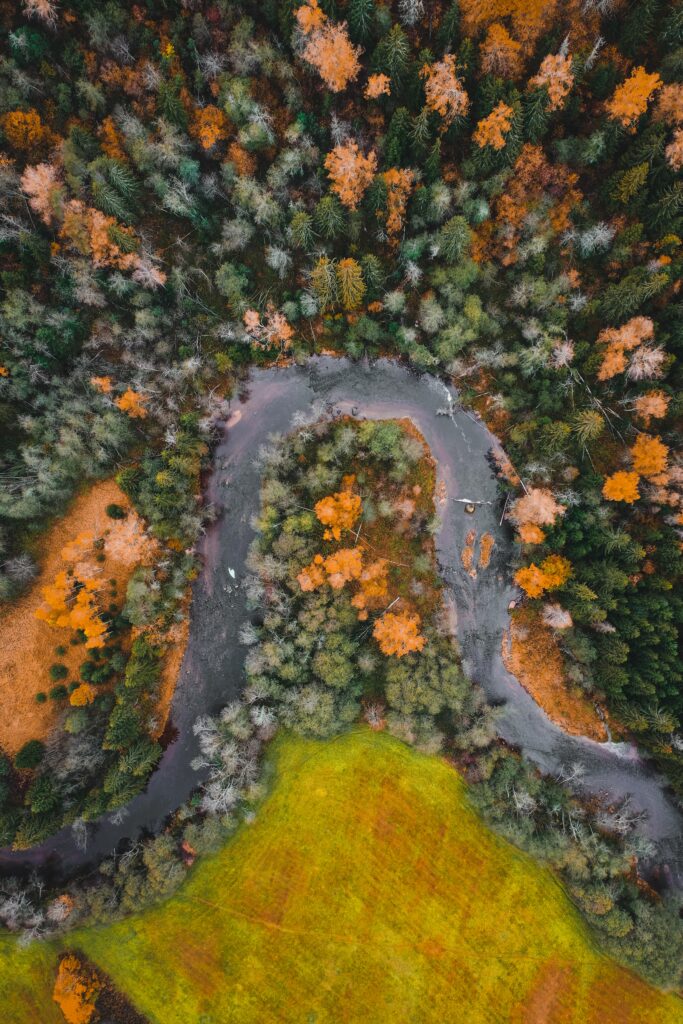 Aerial view of meandering river through vibrant autumn forest with orange and green foliage Wallpaper