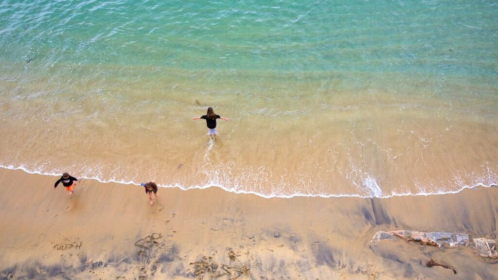 Serene Aerial Beach View with Waves and Sandy Shores - Wallpaper