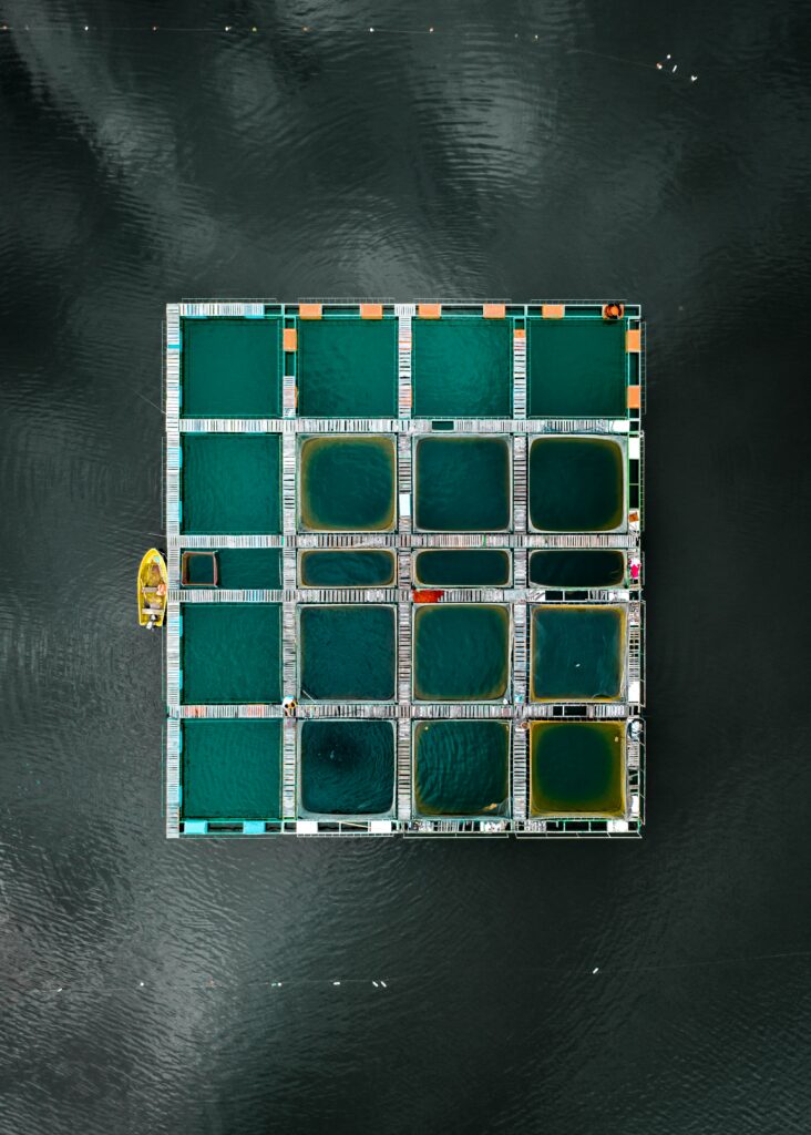 Aerial view of geometric aqua teal pools on dark lake with yellow boat docked at edge wallpaper