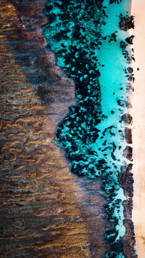 Aerial ocean view with deep blue water sandy beach and textured rocks forming abstract pattern Wallpaper