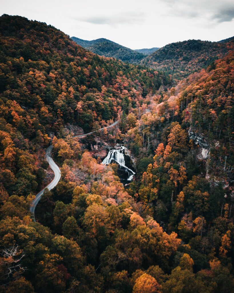 Aerial view of winding road through vibrant autumn forest with waterfall and mountains background Wallpaper