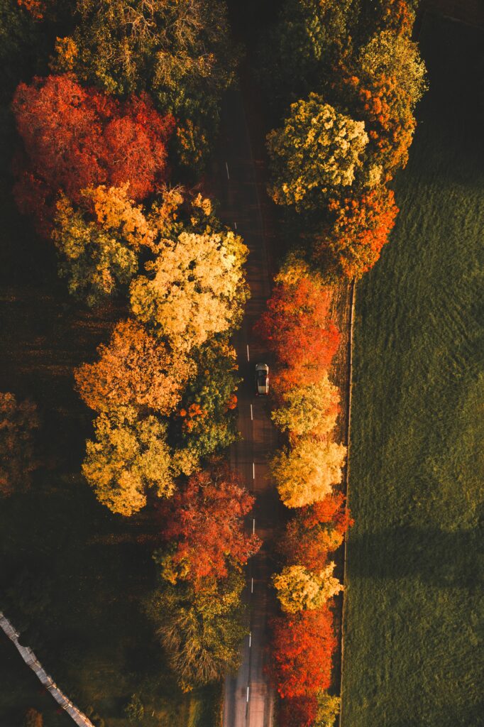 Aerial view of winding autumn road with vibrant orange red yellow trees and a car driving through Wallpaper