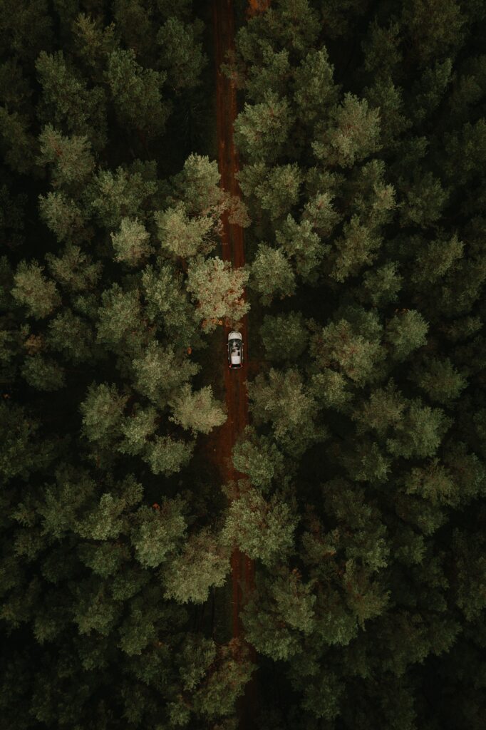 Aerial view of car driving through lush green forest tunnel on narrow road nature adventure wallpaper