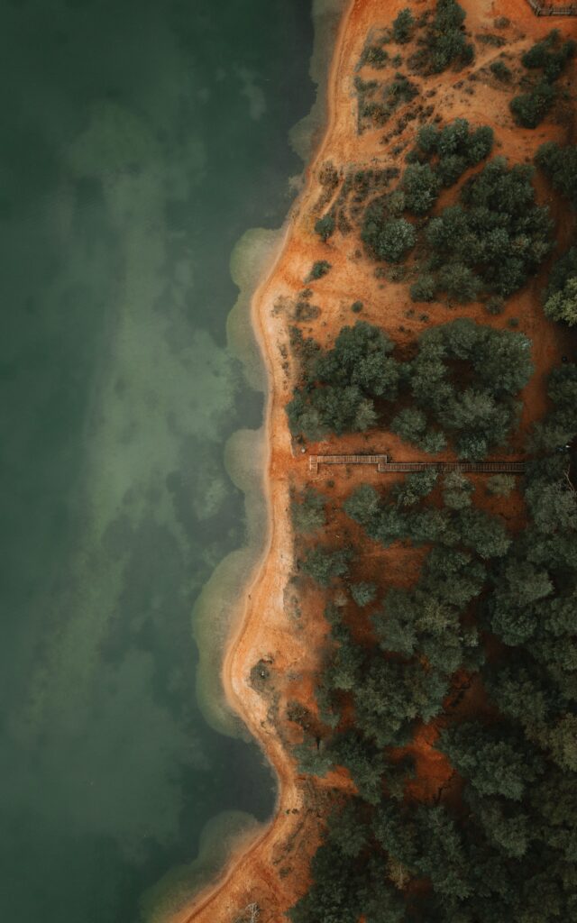 Aerial view of green forest meeting orange sandy beach beside clear tranquil coastal waters wallpaper