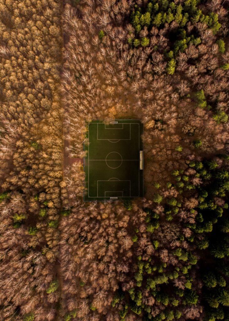 Aerial view of football field in dense forest showing green grass and earthy brown trees background Wallpaper
