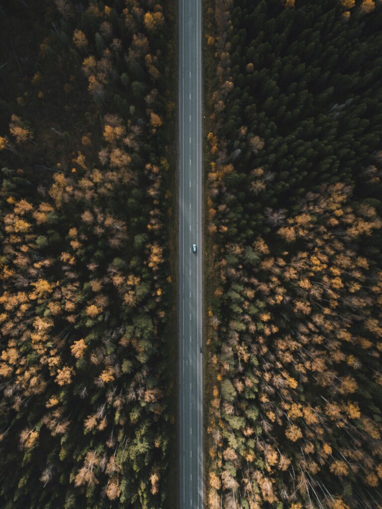 Aerial view of a straight road through dense forest with green and autumn gold treetops and car Wallpaper