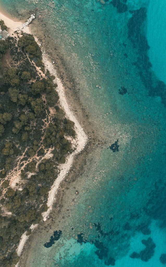 Aerial view of rugged coastline with dense forest meeting clear turquoise water wallpaper background