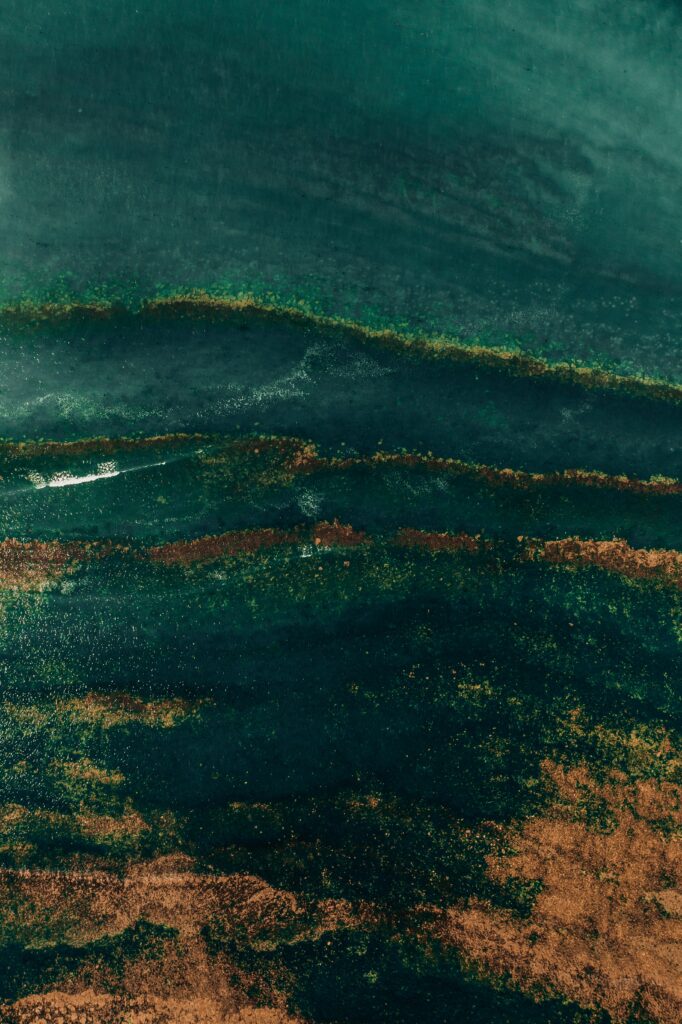 Aerial view of sea waves meeting sandy shore with rich green and brown natural textures wallpaper