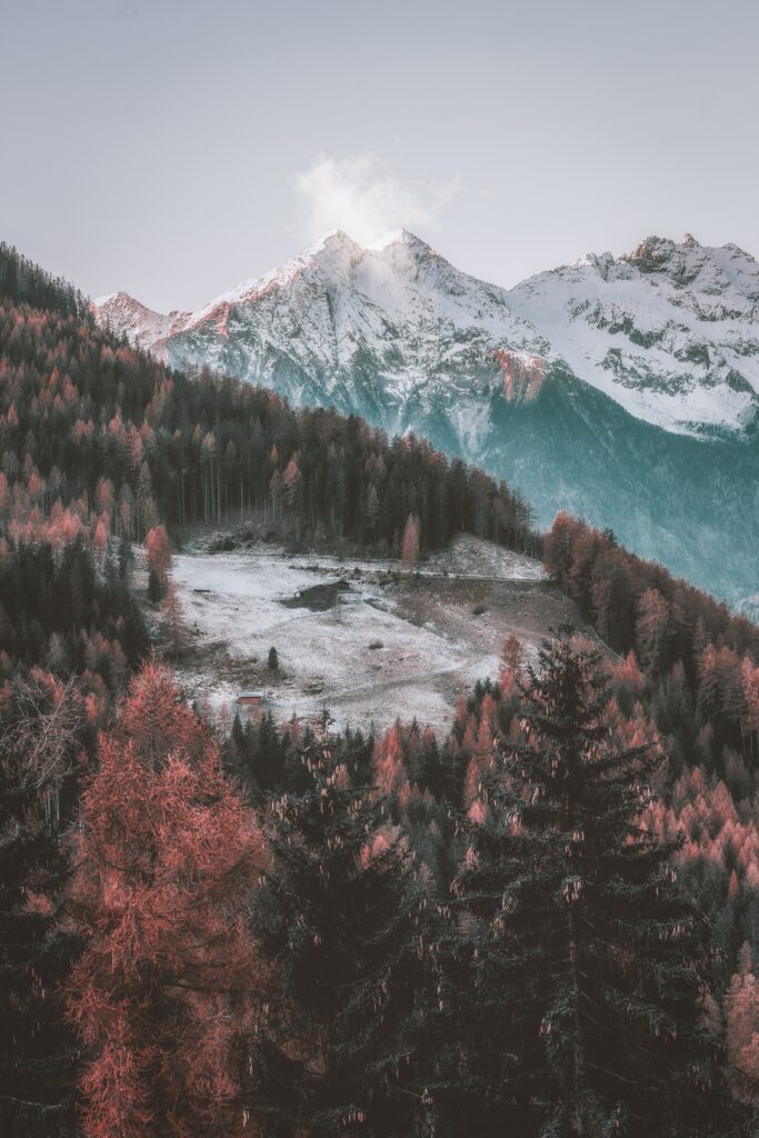 Aerial view of snow-capped mountains above vibrant autumn forest with orange red trees Wallpaper