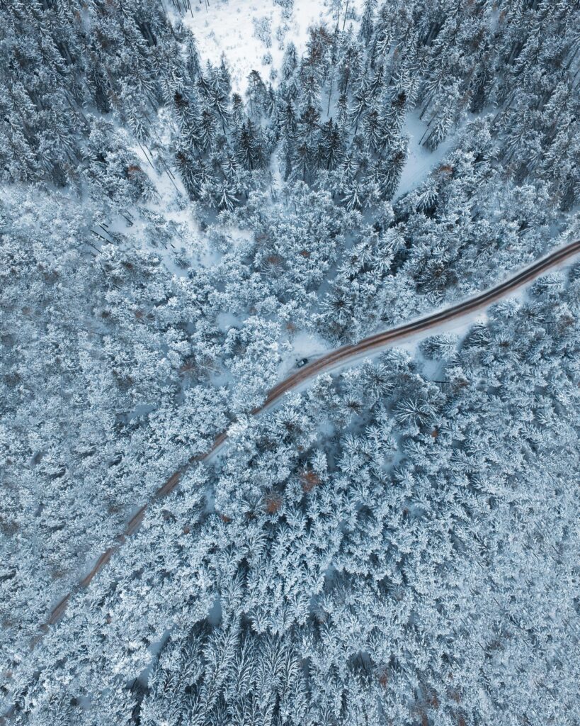 Aerial view of snowy winter forest with winding road through frost-covered trees wallpaper background