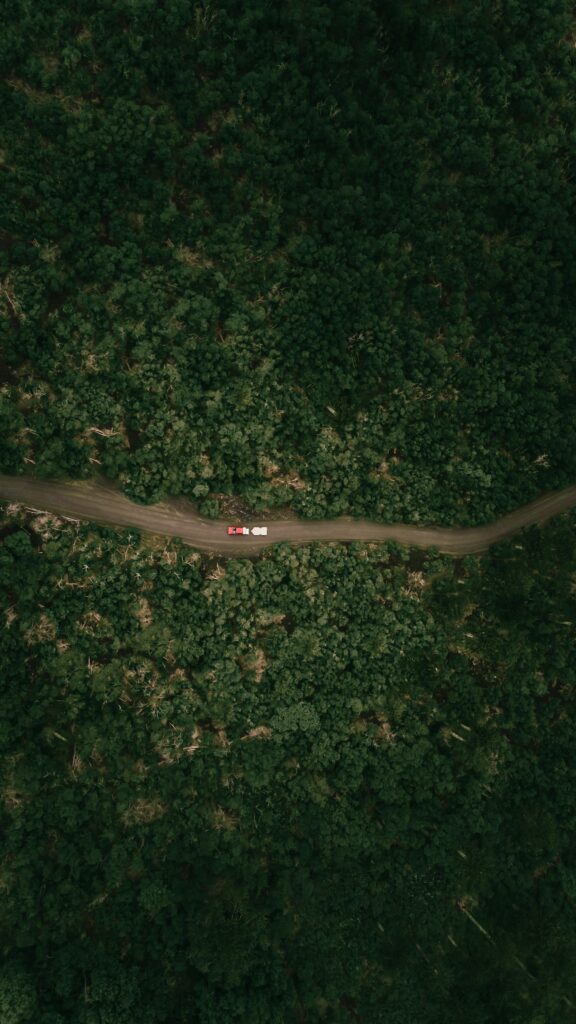 Aerial view of winding forest road with two cars driving side by side through lush greenery Wallpaper