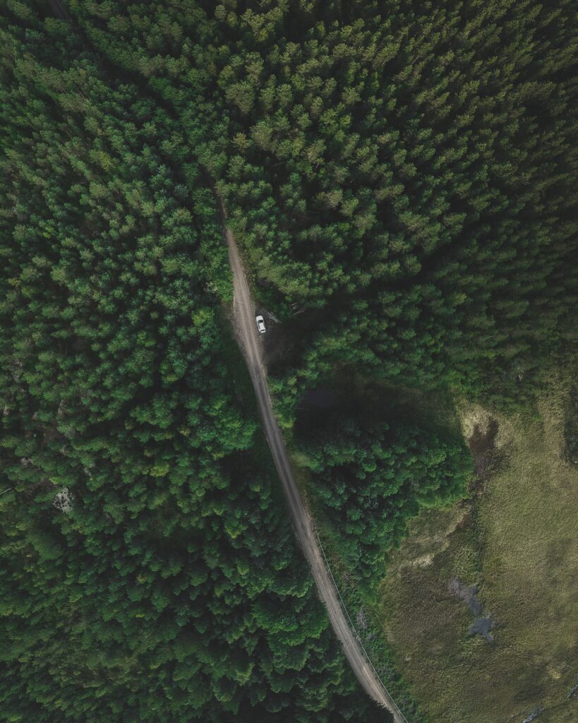 Aerial view of winding forest road with white car highlighting nature and peaceful isolation Wallpaper