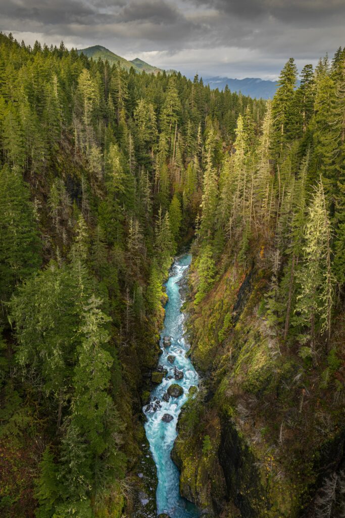 Aerial view of winding river through lush evergreen forest and mountain gorge under moody sky Wallpaper