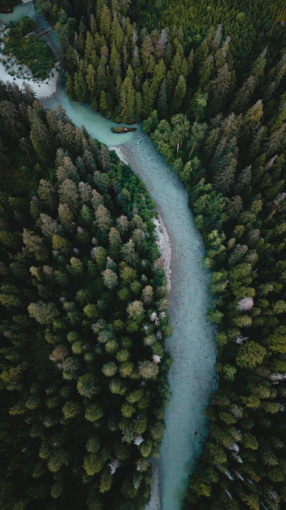 Aerial view of winding river through dense green forest with vibrant nature wallpaper background
