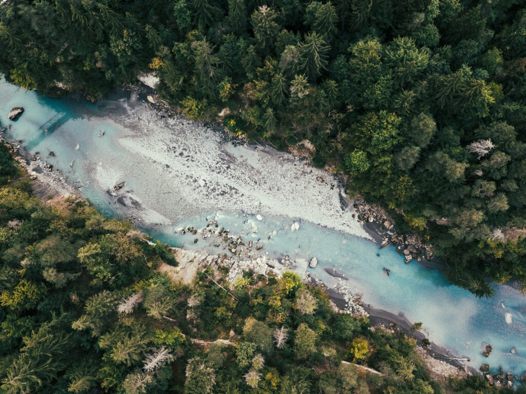 Aerial view of winding river through dense green forest with vibrant trees and clear water wallpaper