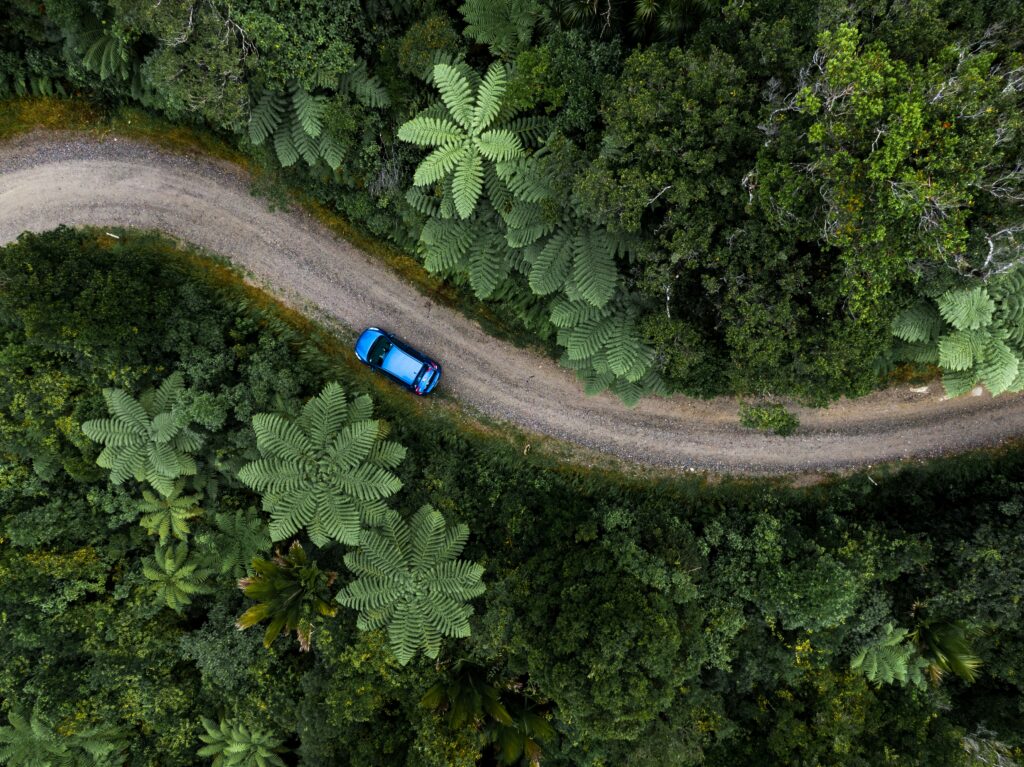 Aerial view of blue car on winding road surrounded by lush greenery and tall palm trees Wallpaper