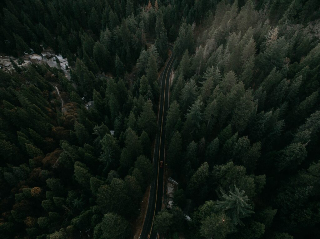 Aerial view of winding road through dense green forest with a single car driving in nature Wallpaper