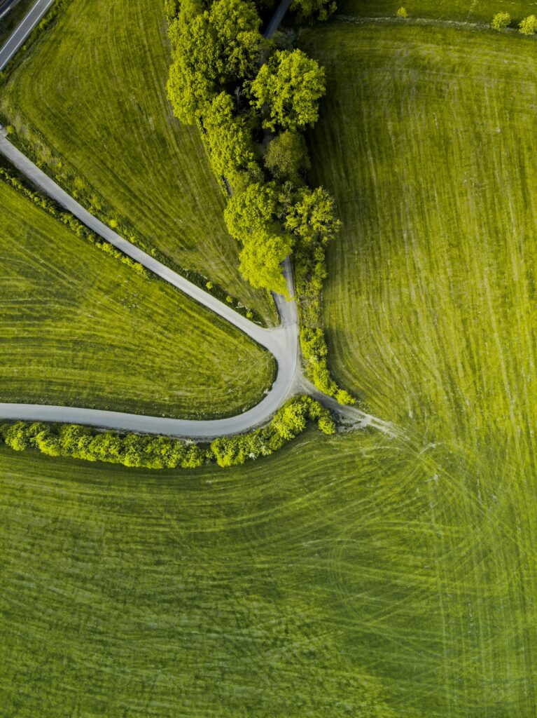 Aerial view of winding road through lush green fields with vibrant trees countryside wallpaper background