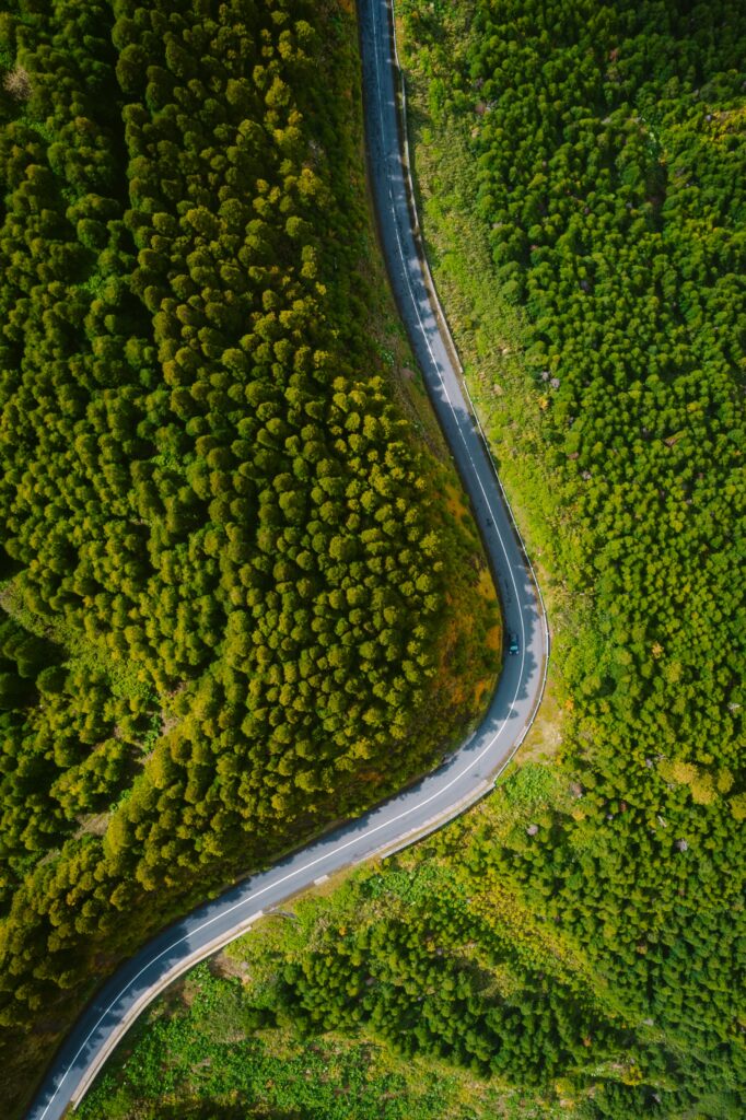 Aerial view of winding road through dense green forest with vibrant colors and lush foliage Wallpaper