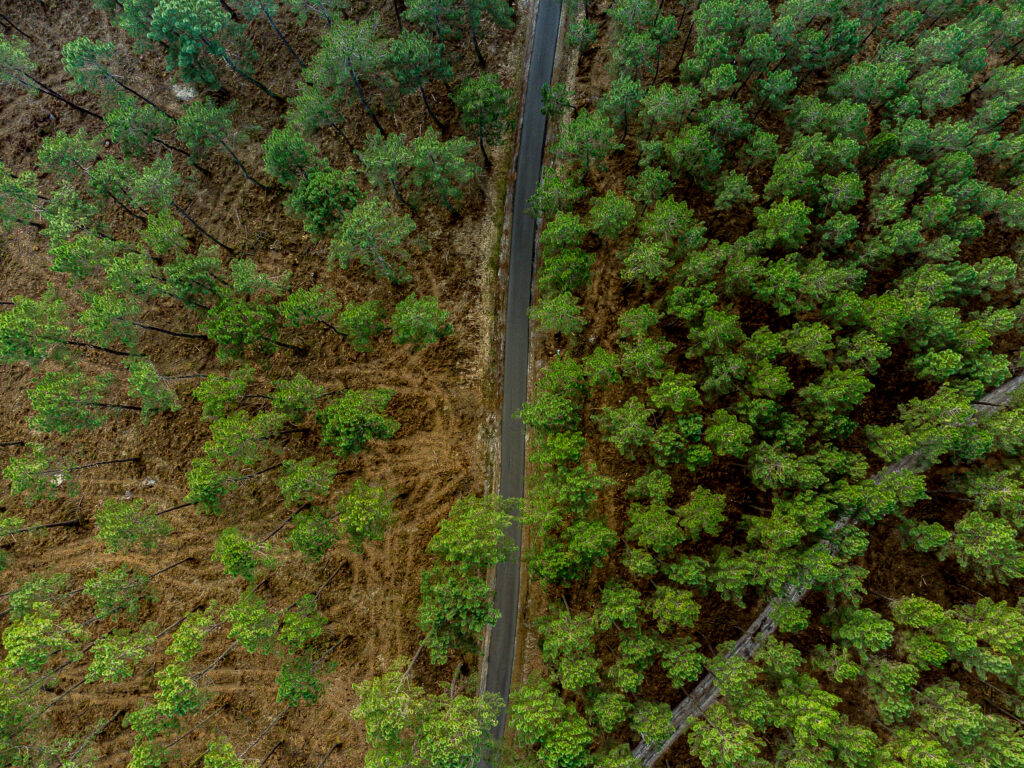 Aerial view of winding road through dense vibrant green forest showcasing nature and adventure Wallpaper