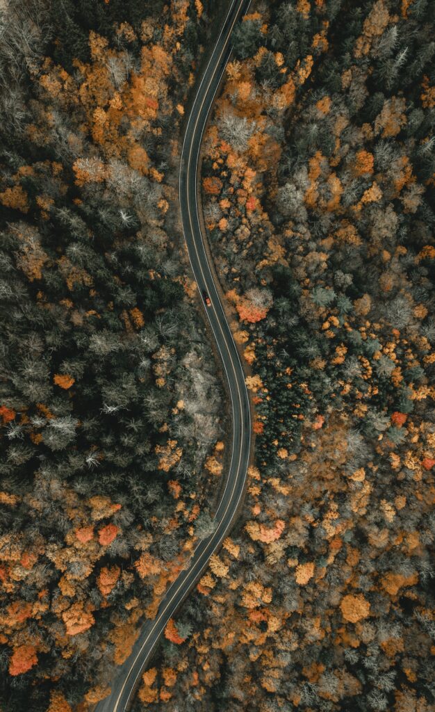 Aerial view of winding road through vibrant orange autumn forest scenic wallpaper background