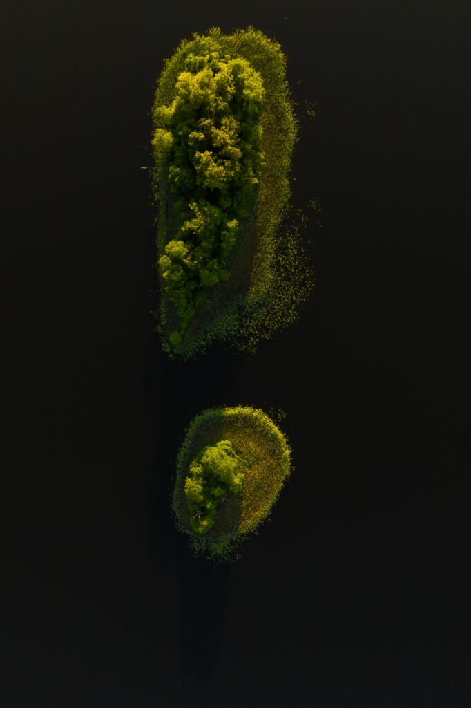 Aerial view of two vibrant green islands surrounded by calm dark water wallpaper background
