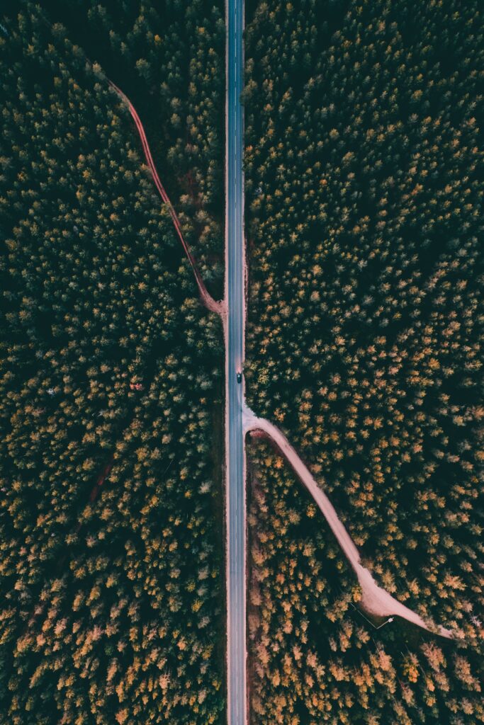 Aerial view of straight road through dense green forest canopy peaceful natural landscape wallpaper