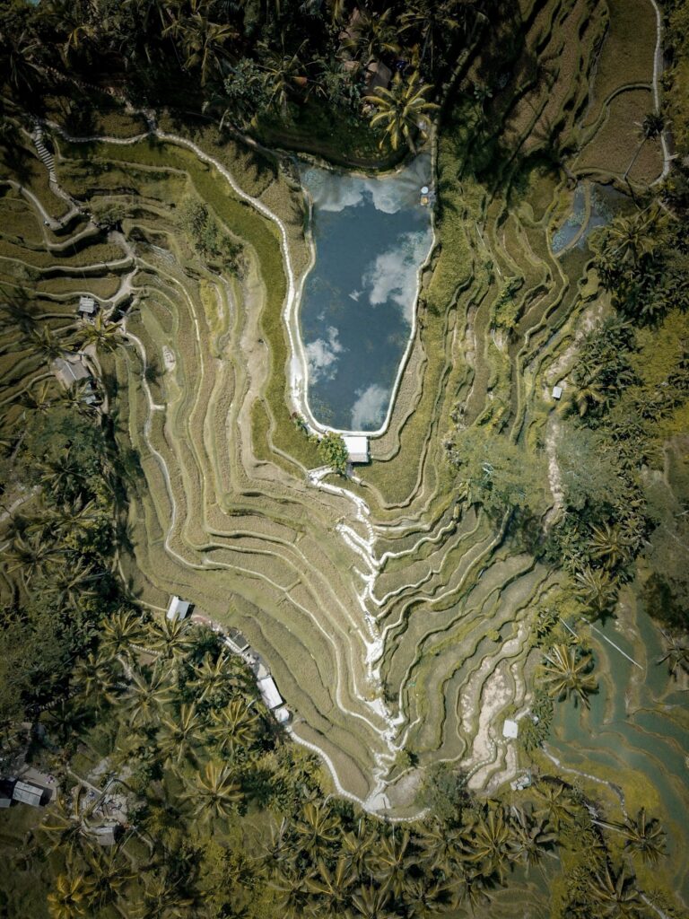 Aerial view of vibrant tropical rice terraces with lush green fields and reflective pond background Wallpaper