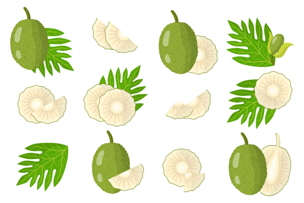 Seamless breadfruit pattern with sliced fruit and tropical leaves on white background wallpaper