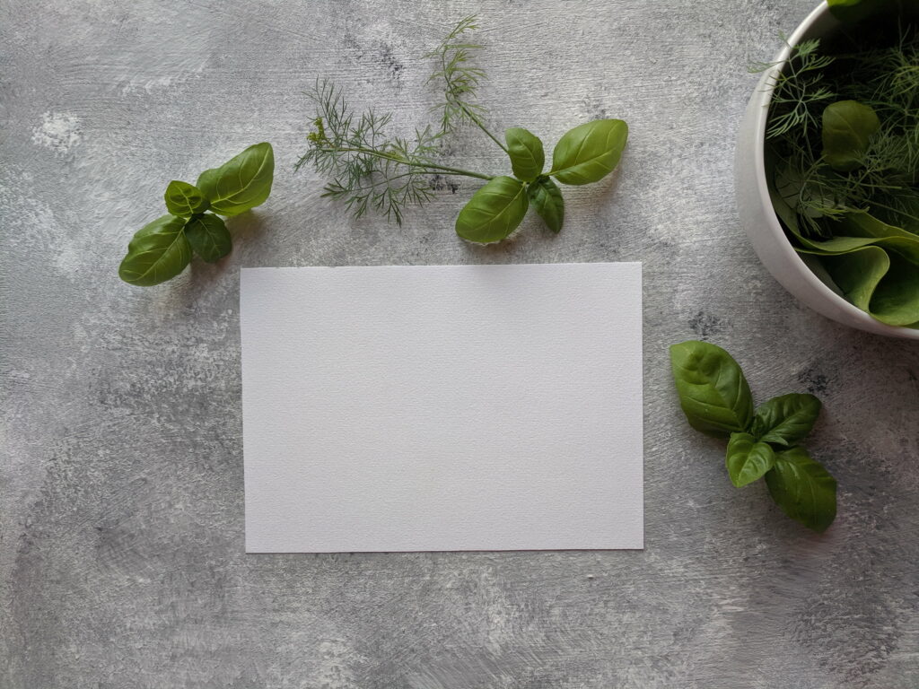 Basil Beauty: Captivating QHD Wallpaper featuring Top View of Paper over Lush Basil Leaves