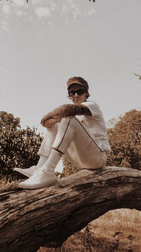 Retro Aesthetic Harry Styles Wallpaper in Serene Nature Setting