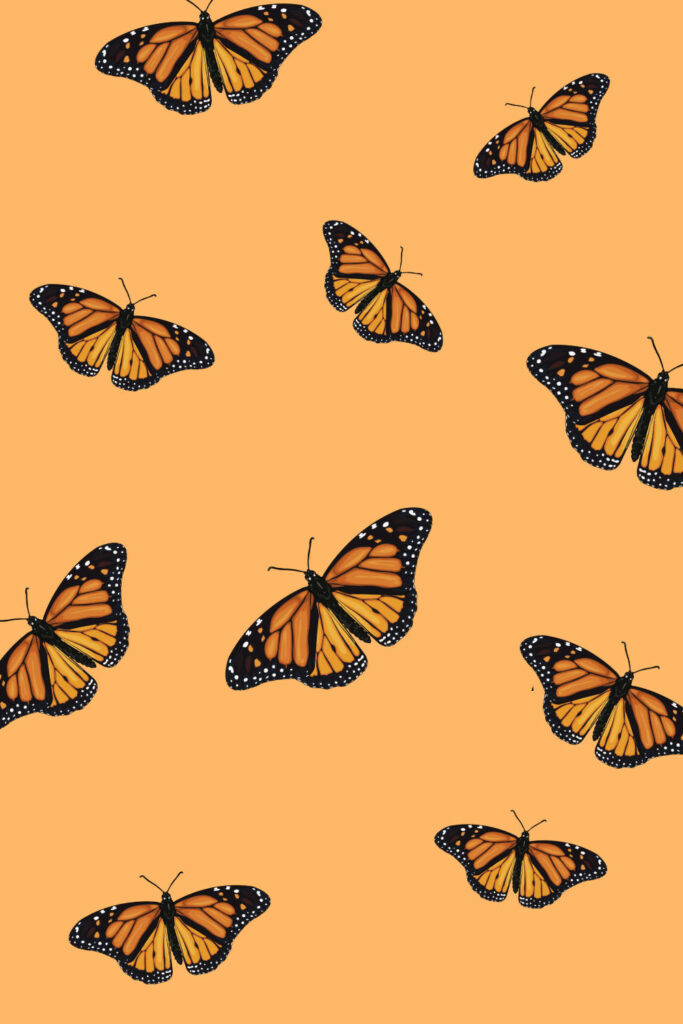 Elegant Orange Butterfly Wallpaper on Vibrant Background Design