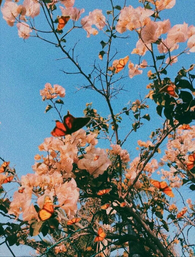 Serene Spring Wallpaper: Vibrant Butterflies & Blooming Flowers