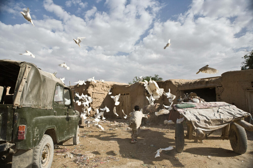 Flock of white pigeons flying over rustic mud-brick buildings in rural Afghanistan landscape Wallpaper